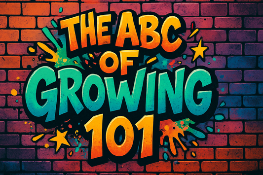 The ABC of Growing – What Every Beginner Should Know