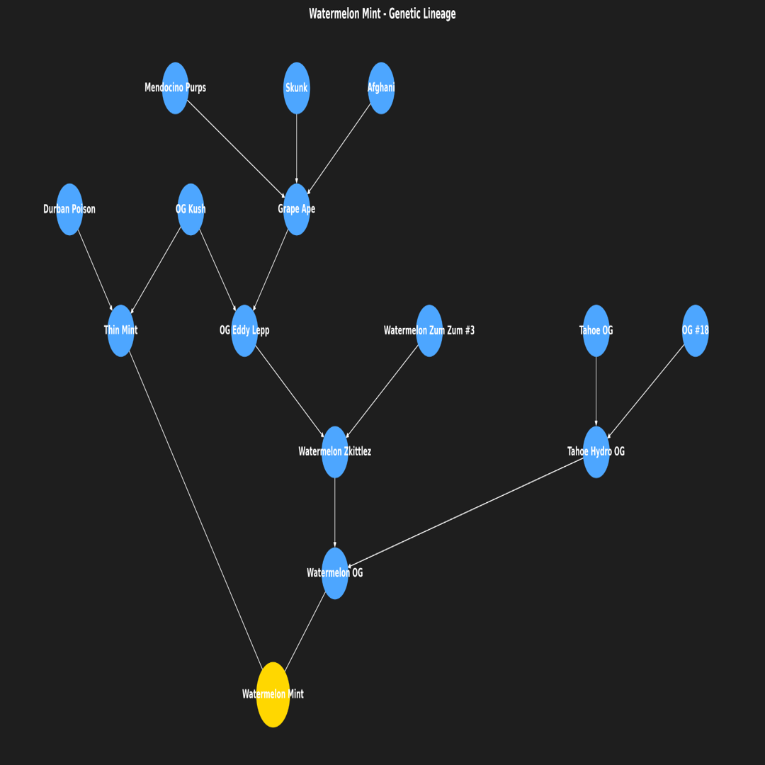 Watermelon Mint Auto