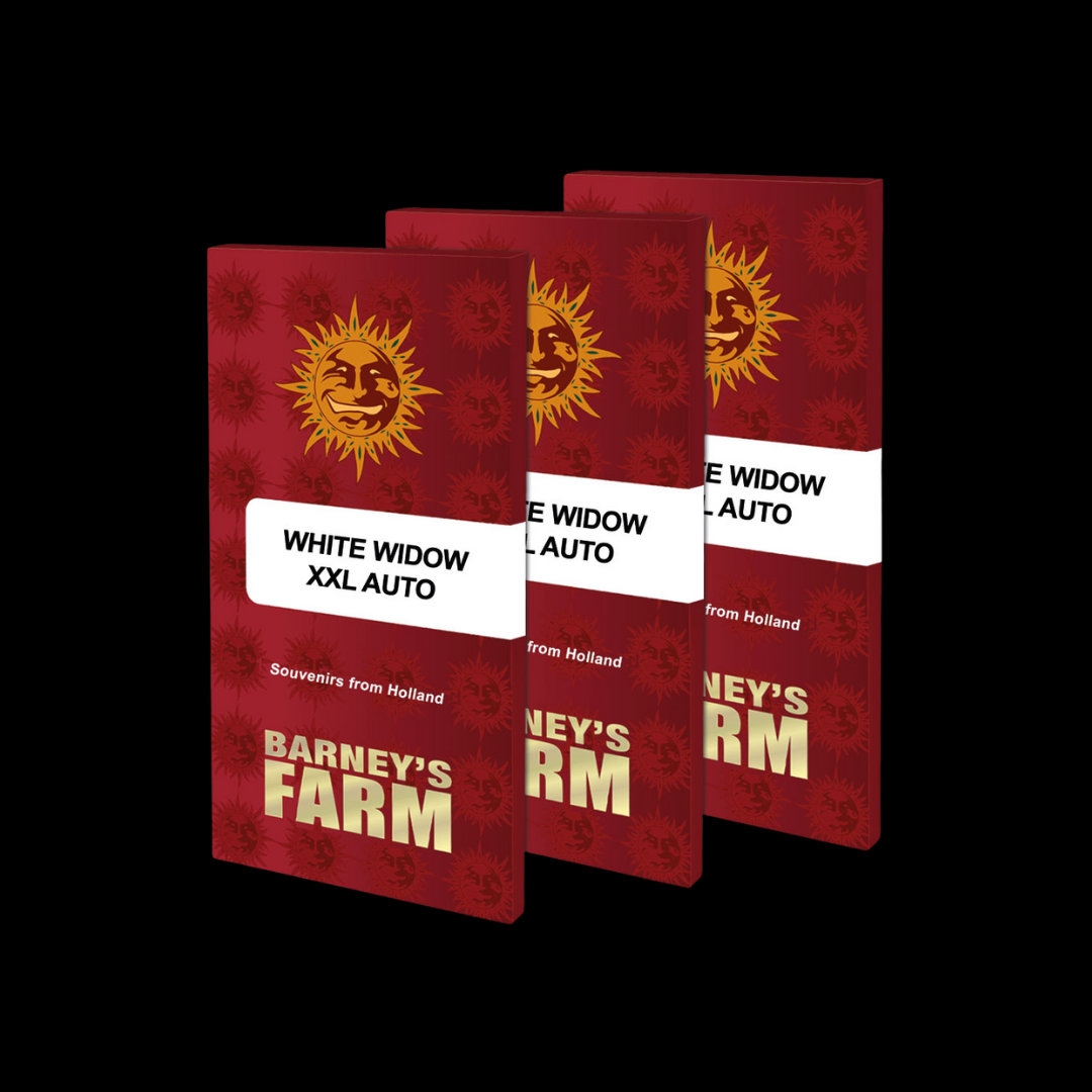 White Widow XXL Auto