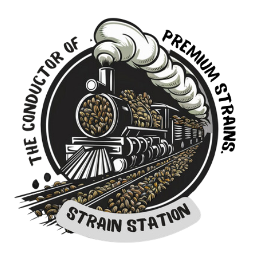 Strain Station