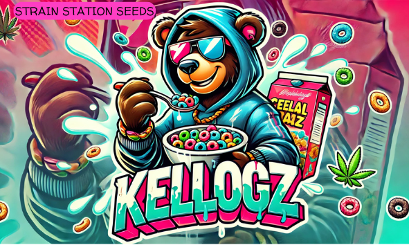 Kellogz Auto