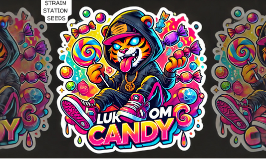 Luk Om Candy Auto