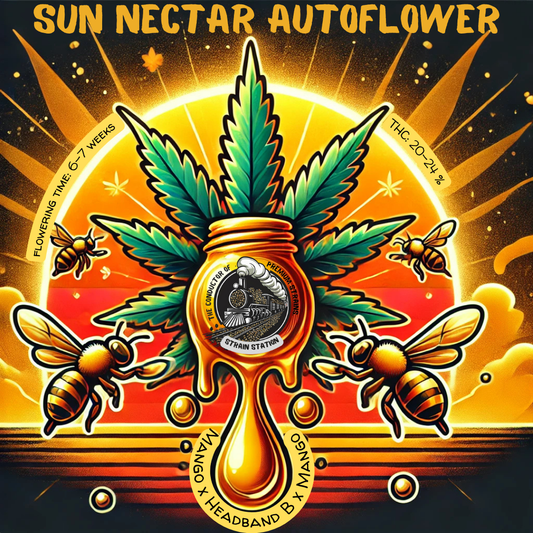 Sun Nectar Auto