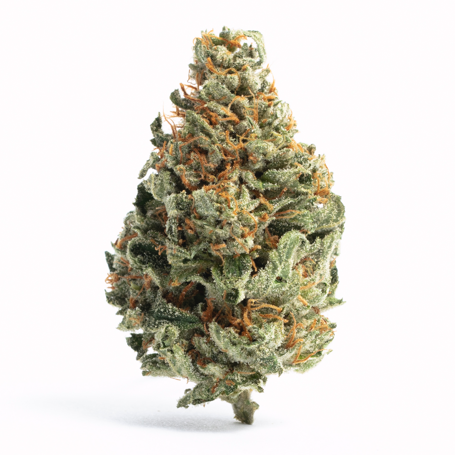 Jungle Crunch